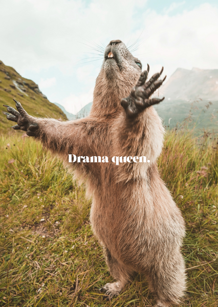 Drama Queen